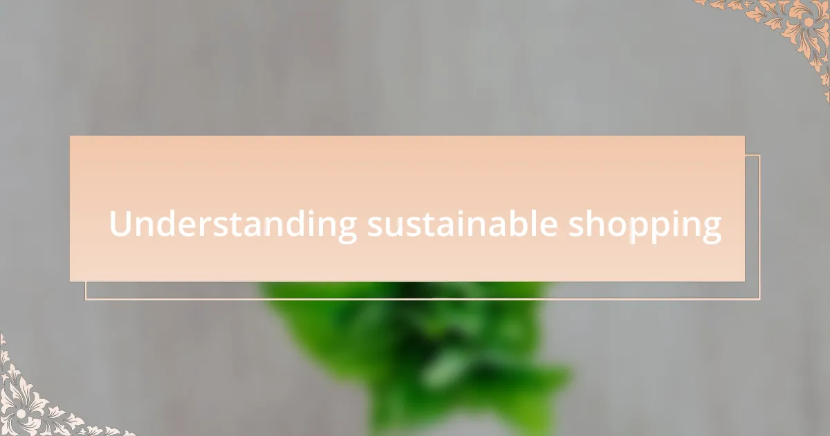 Understanding sustainable shopping